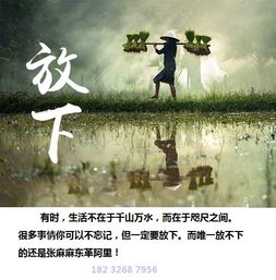 清明节经典语录 60句