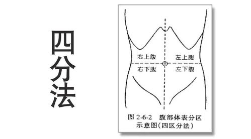 感官知觉能力训练