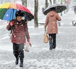 冬天下雨打雷怎么回事