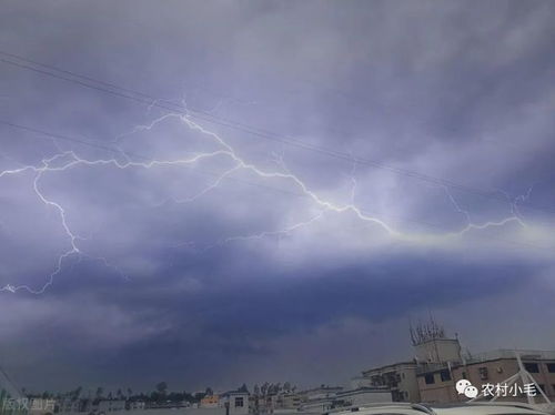 冬天下雨打雷怎么回事