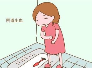 遗传优生与胎教关系