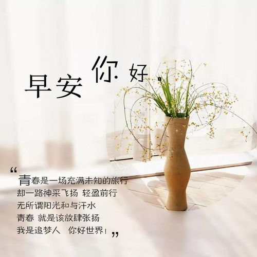 早安共勉的优美句子