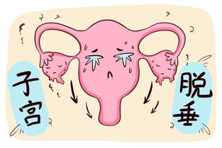 怀孕后身体变化的那些事儿是什么