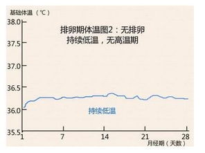 排卵期的征兆有哪些