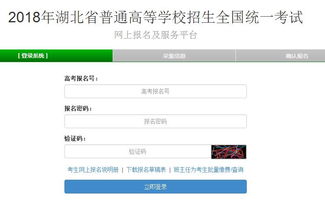湖北高考报名网址登录