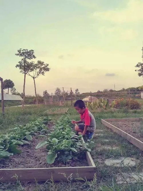 谁有德国电影48小时女主角的图片