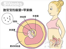 怀孕一周主要有哪些表现症状