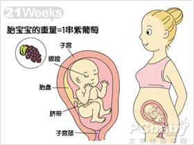 怀孕21周腹围多少正常呢