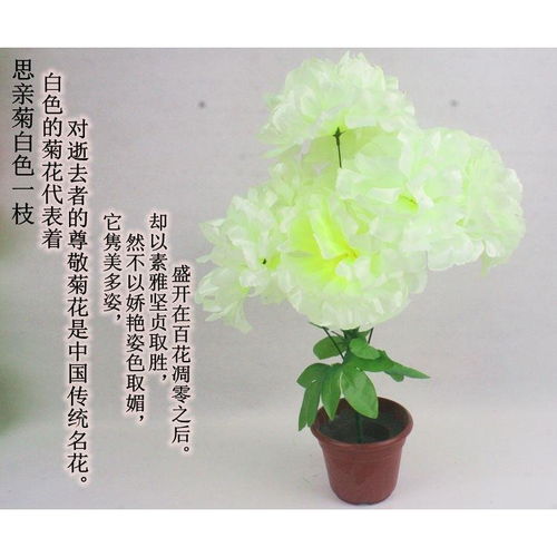 清明节扫墓送鲜花好不好哦？