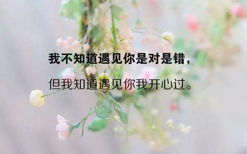 形容不努力不行的句子