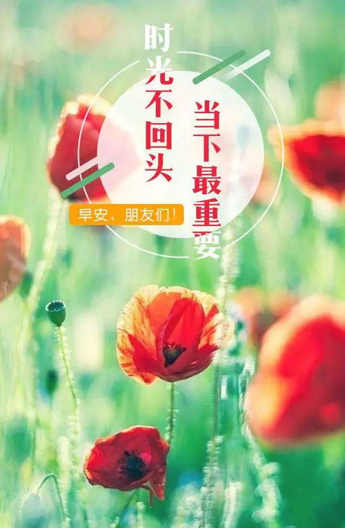 祝别人发财的语句