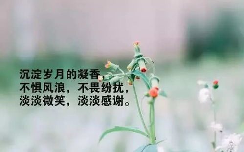 清明节没放假的说说