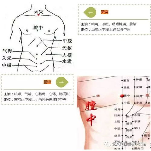 三伏贴都贴哪些穴位？