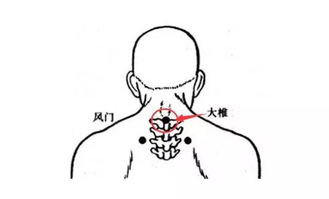 三伏贴都贴哪些穴位？