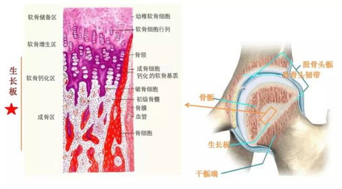 小孩打生长激 素对骨龄有要求吗？