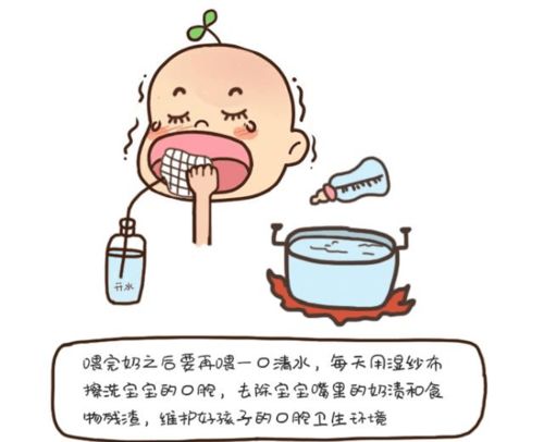 喂奶器具及消毒方法