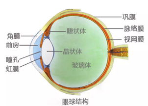 眼睛闪光50度严重吗