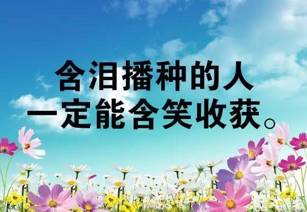 奋斗的早安心语