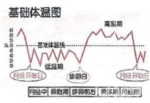 女性处于排卵期的症状