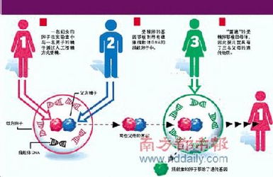 怎样孕育漂亮宝宝