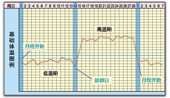 测定排卵期的基本方法