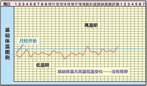 测定排卵期的基本方法