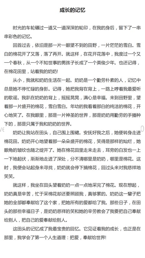 以我心中的那道阳光为主题的作文