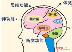 训练宝宝控制口水4大基本技巧是什么