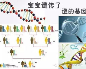 先天性不孕不育会遗传吗