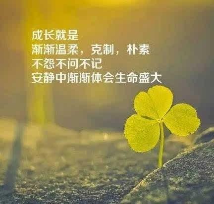 早安最撩人的句子