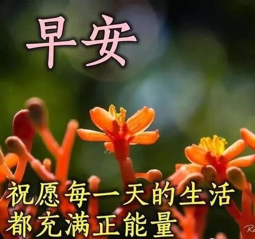 最美早安问候图片带字温馨祝福