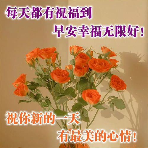 最美早安问候图片带字温馨祝福