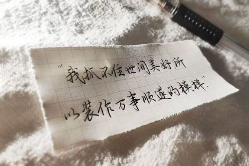 抖音最近很火的励志句子