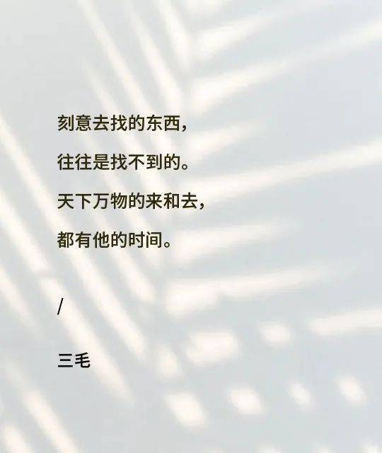 吹江风的文案