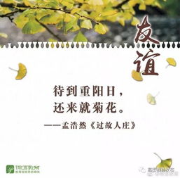 闺蜜友谊长久的句子唯美