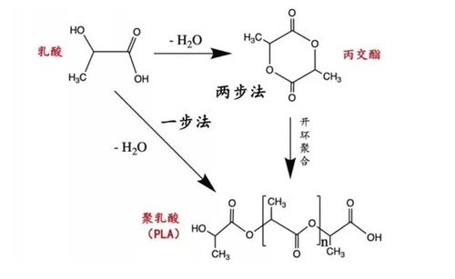 乳酸脱氢酶