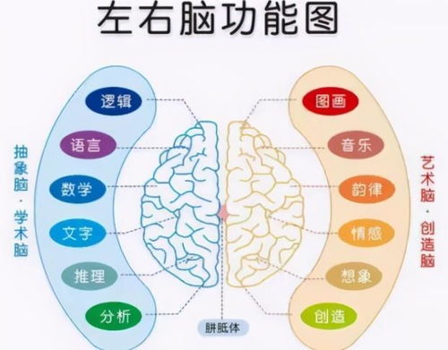 14个遗传怪现象大揭秘