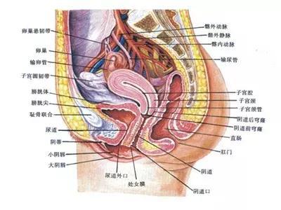 慢性盆腔炎会导致输卵管堵塞吗