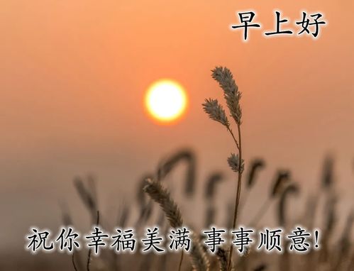 发朋友圈的早安图片和短句