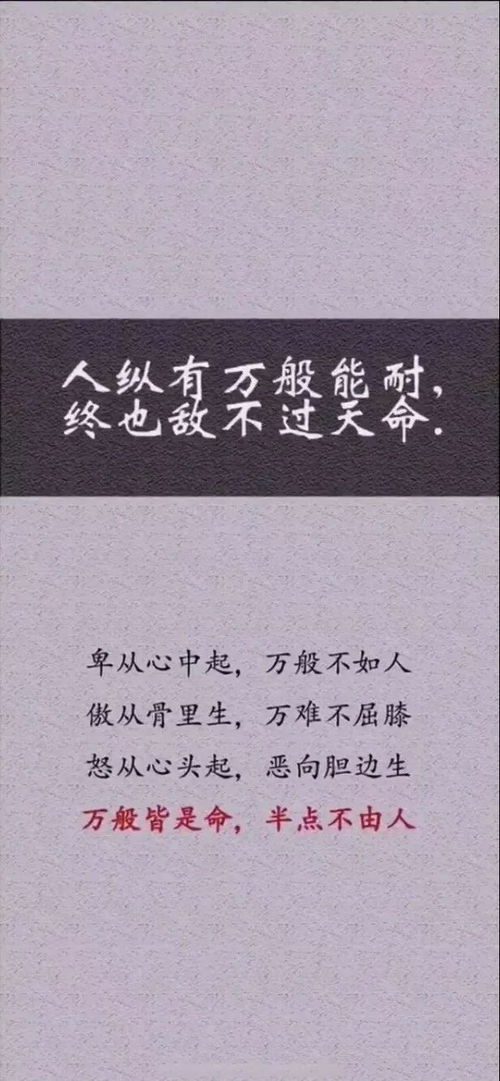 流行情感语录短句