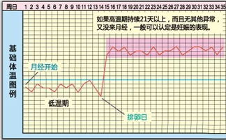 手指也能测出排卵期吗