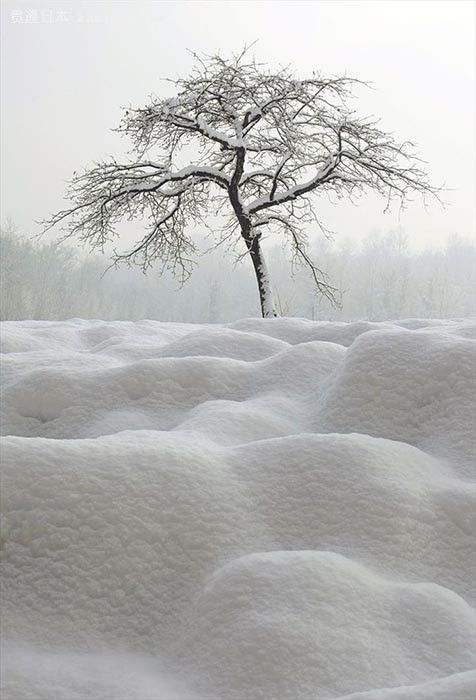 形容大雪纷飞的诗句