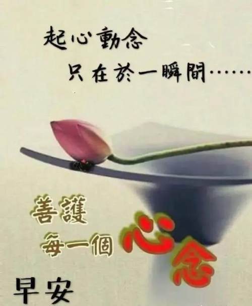 发朋友圈早安的句子短句