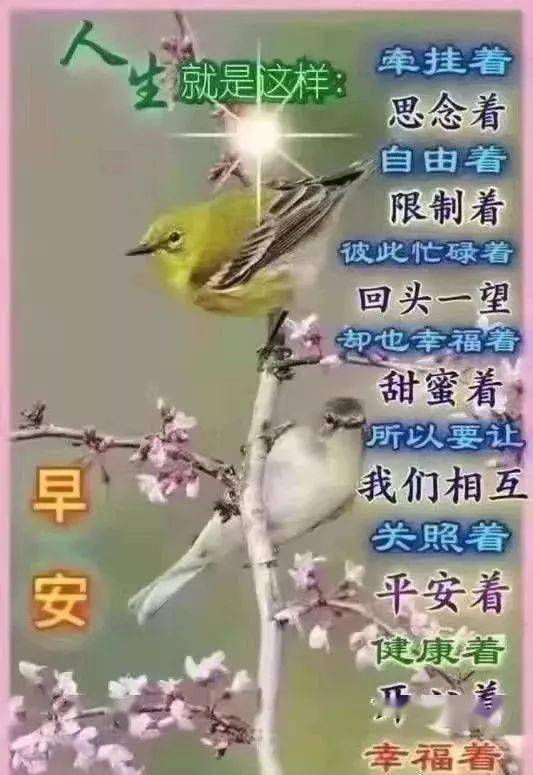 发朋友圈早安的句子短句