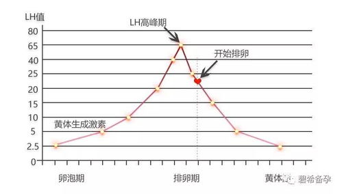 受孕期和排卵期有什么区别