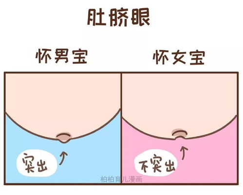 怀孕的时机与生男生女到底有没有关系呢