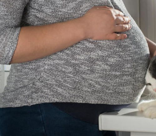 怀孕三个月肚子多大?
