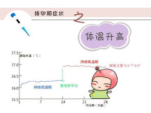 女性排卵期一般是什么感觉