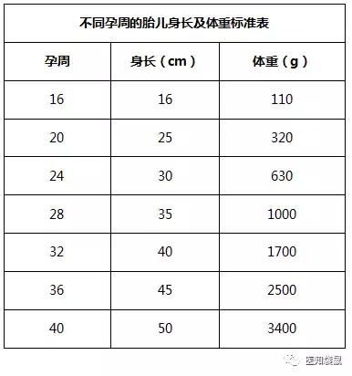 胎重698克等于多少斤