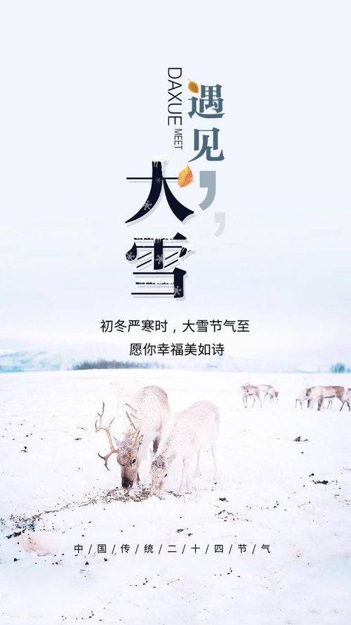 是雪背叛了冬还是冬辜负了雪